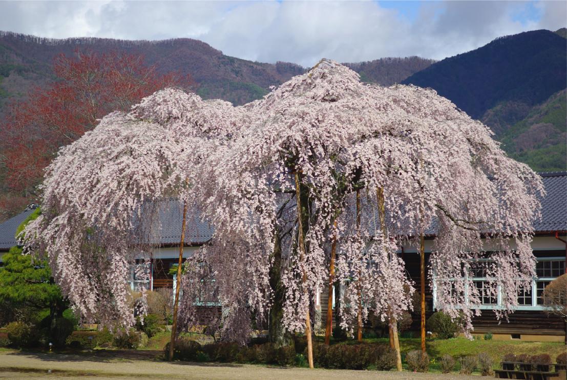 Ryokan Ootaya Iida Dış mekan fotoğraf